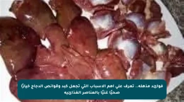 فوائد مذهلة.. تعرف على أهم الأسباب التي تجعل كبد وقوانص الدجاج خيارًا صحيًا غنيًا بالعناصر الغذائية